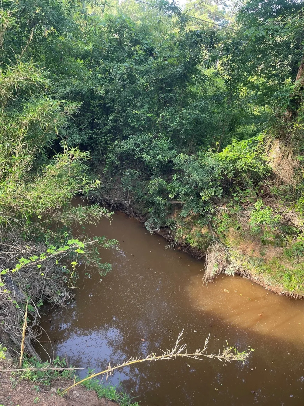 Fm-16 Winona, TX 75792