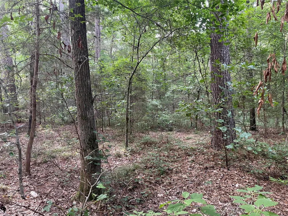 Fm-16 Winona, TX 75792