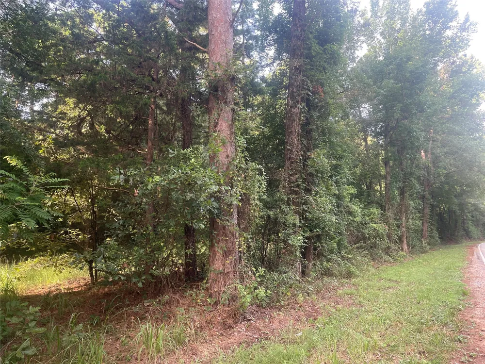 Fm-16 Winona, TX 75792
