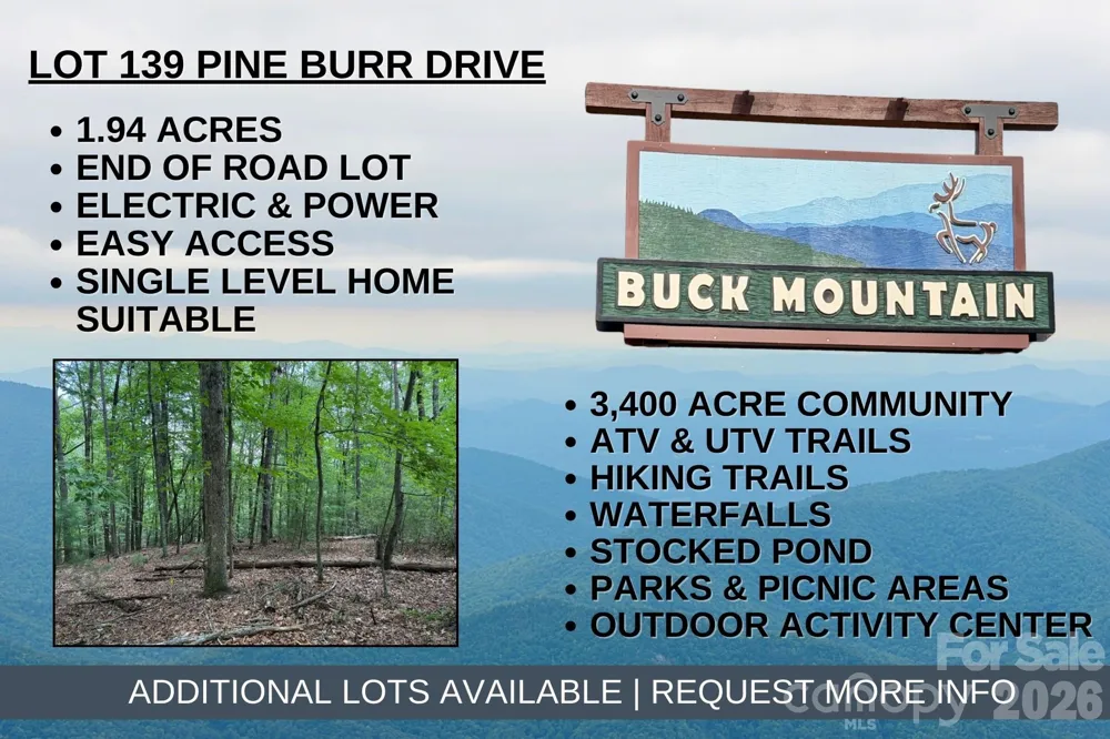 TBD Pine Burr Drive #139 Purlear, NC 28665