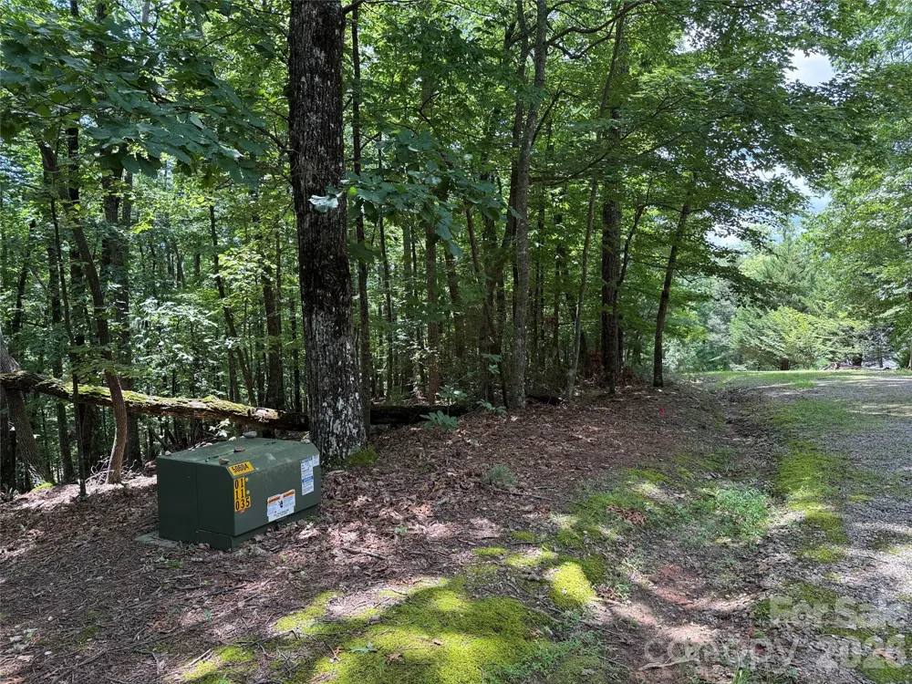 TBD Pine Burr Drive #139 Purlear, NC 28665