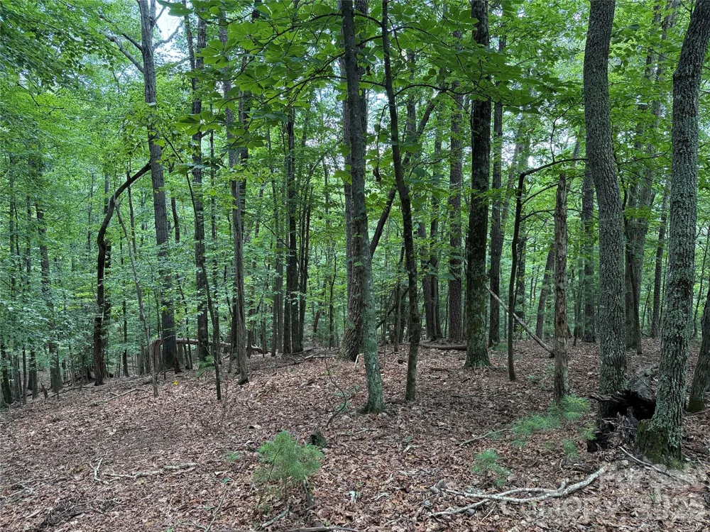 TBD Pine Burr Drive #139 Purlear, NC 28665