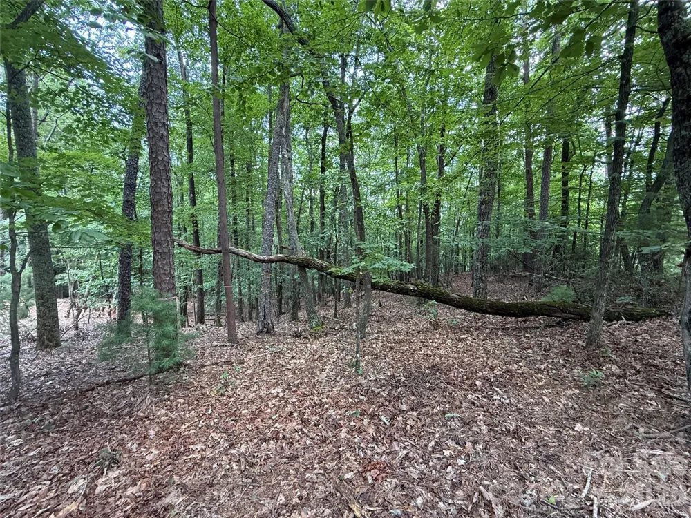 TBD Pine Burr Drive #139 Purlear, NC 28665