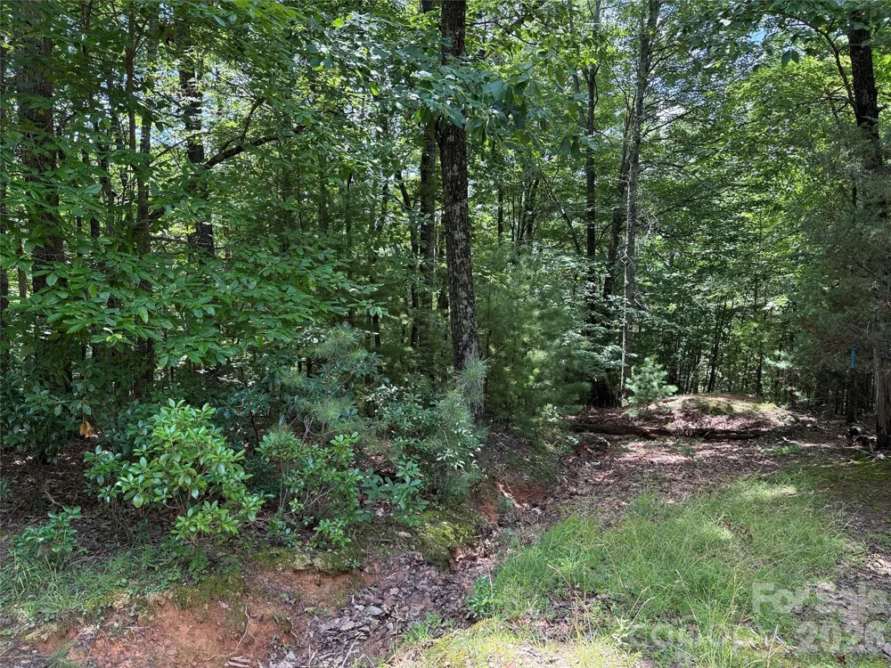 TBD Pine Burr Drive #139 Purlear, NC 28665