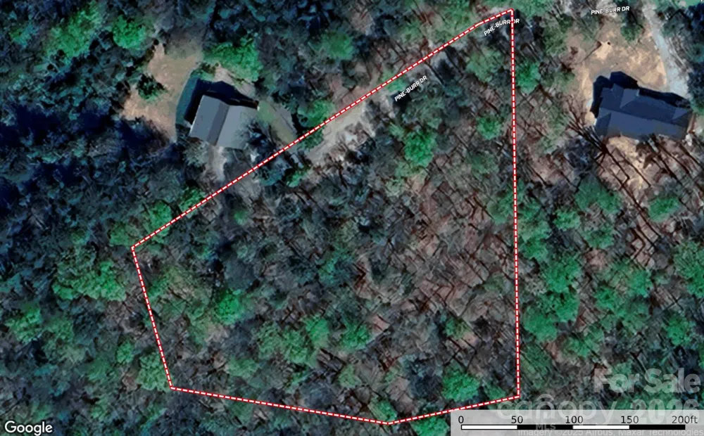 TBD Pine Burr Drive #139 Purlear, NC 28665