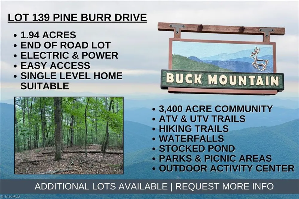Lot 139 Pine Burr Drive Purlear, NC 28665