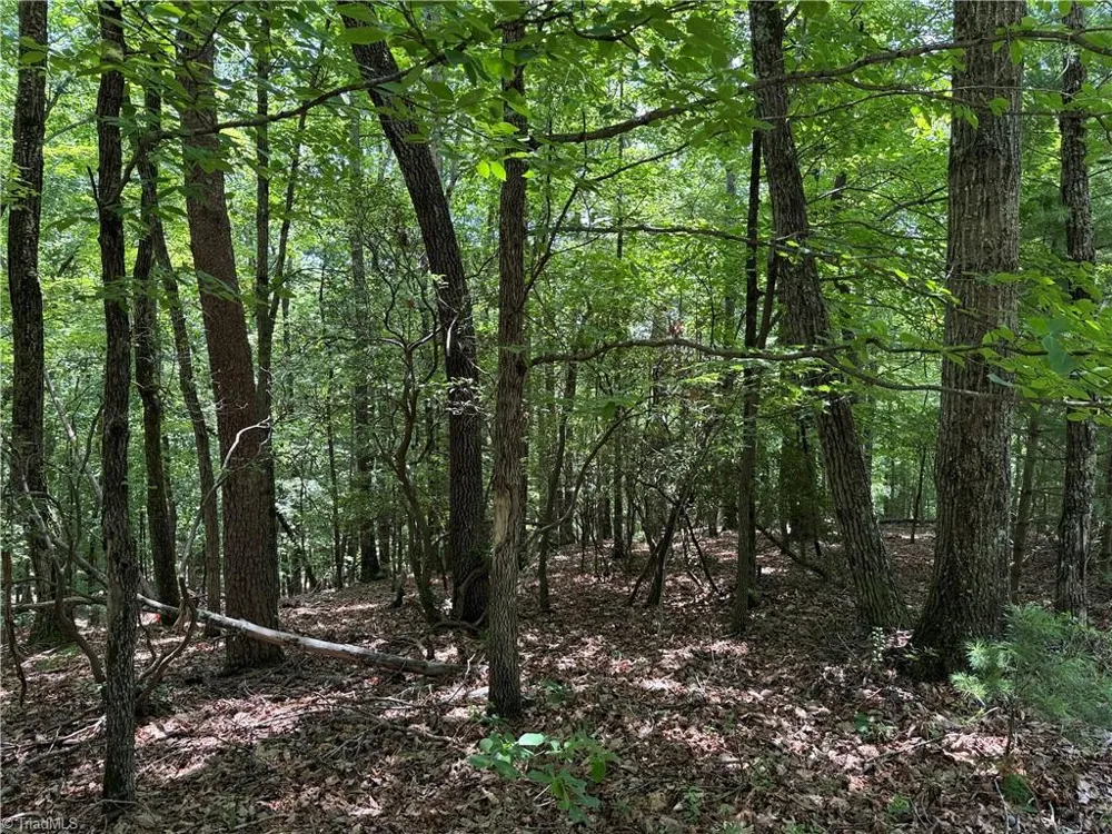 Lot 139 Pine Burr Drive Purlear, NC 28665