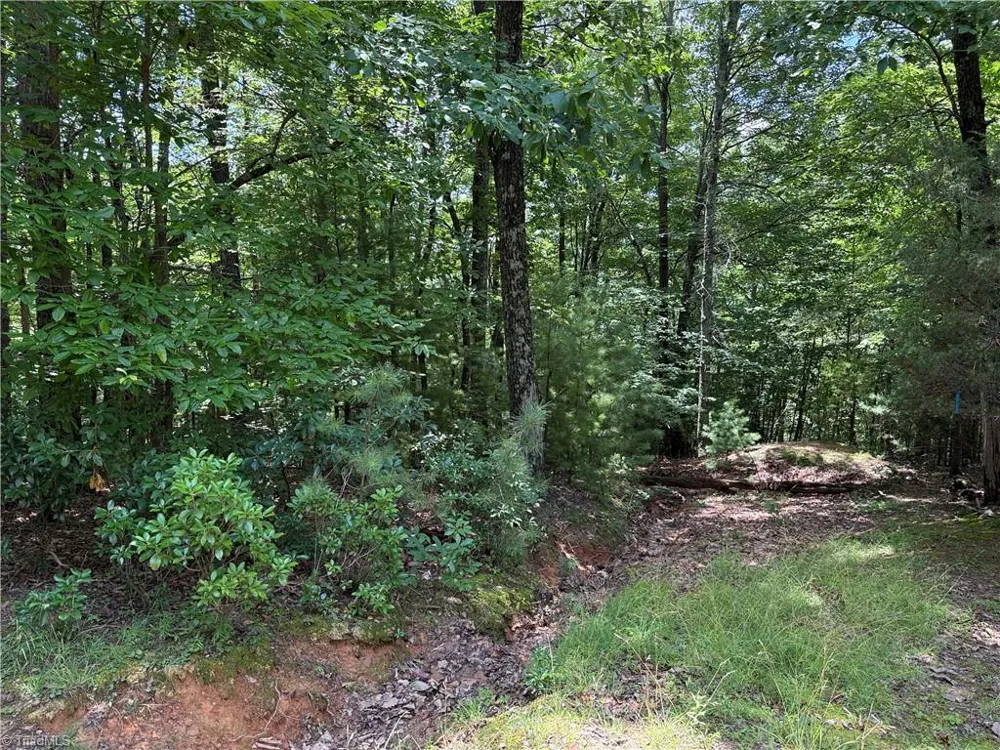 Lot 139 Pine Burr Drive Purlear, NC 28665
