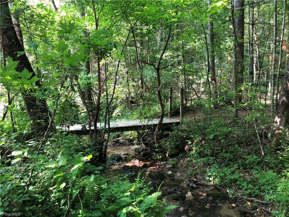 Lot 139 Pine Burr Drive Purlear, NC 28665