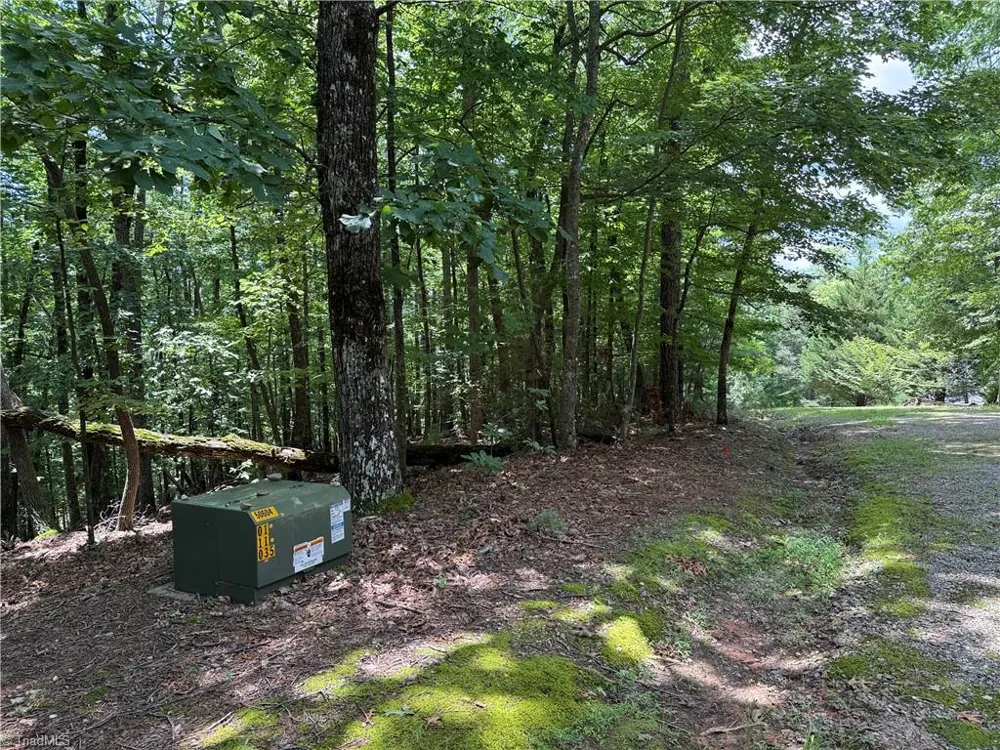 Lot 139 Pine Burr Drive Purlear, NC 28665