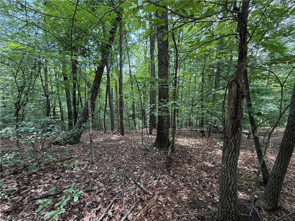 Lot 139 Pine Burr Drive Purlear, NC 28665