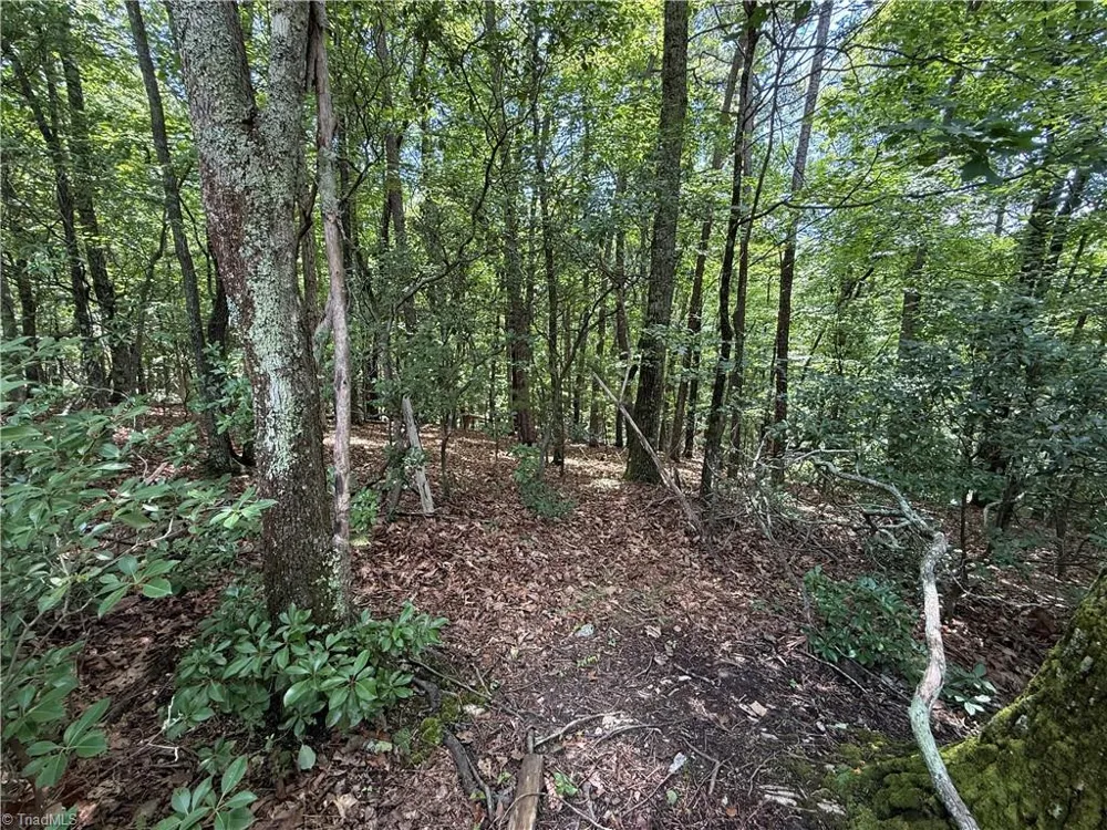 Lot 139 Pine Burr Drive Purlear, NC 28665
