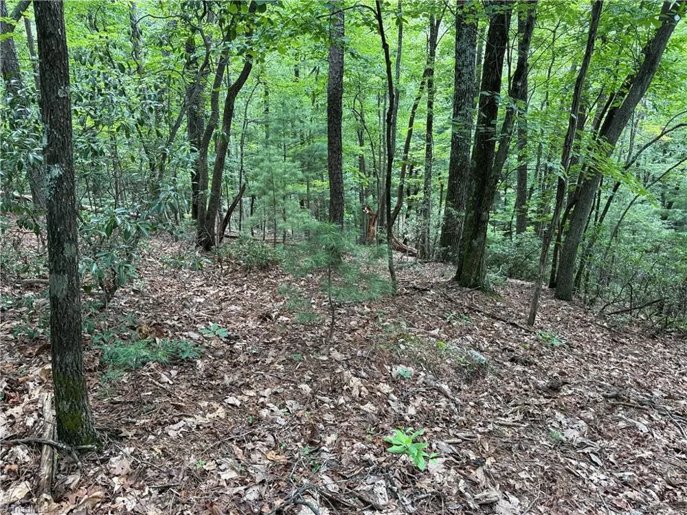 Lot 139 Pine Burr Drive Purlear, NC 28665