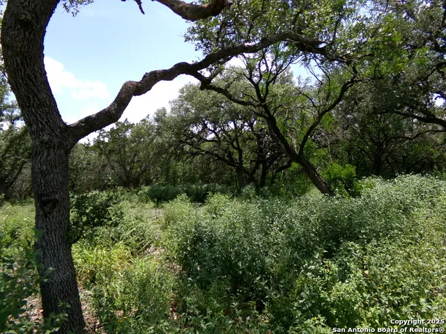1881 Grand Oaks Hondo, TX 78861