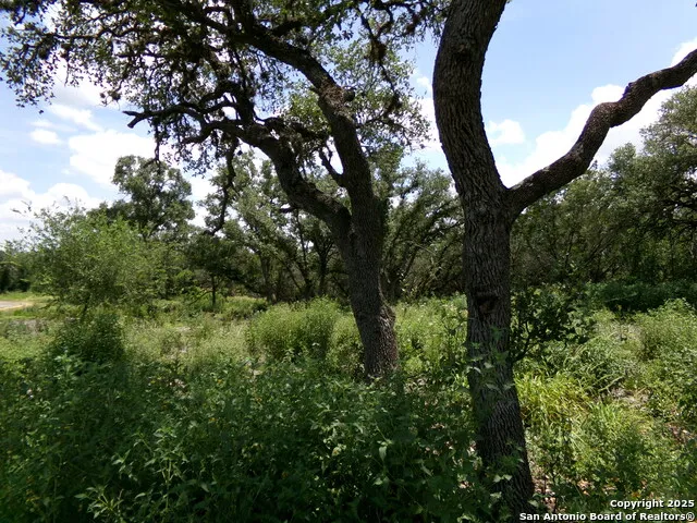 1881 Grand Oaks Hondo, TX 78861