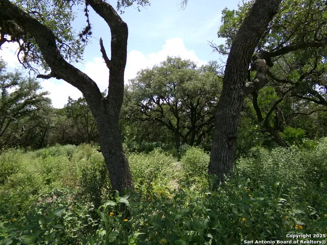 1881 Grand Oaks Hondo, TX 78861