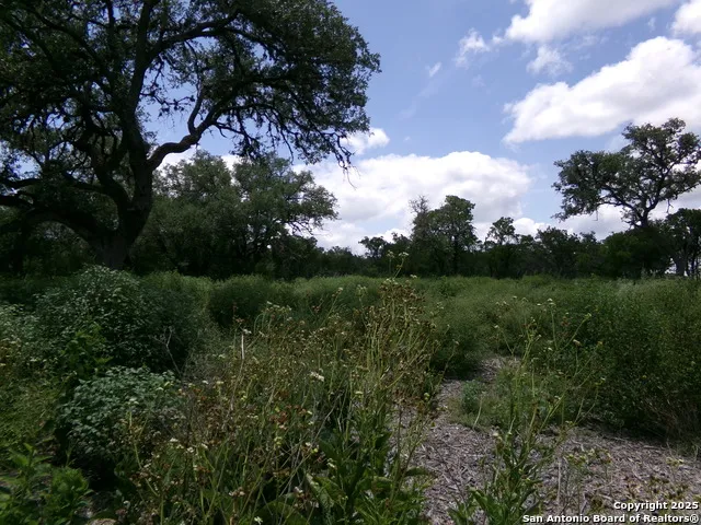 1881 Grand Oaks Hondo, TX 78861