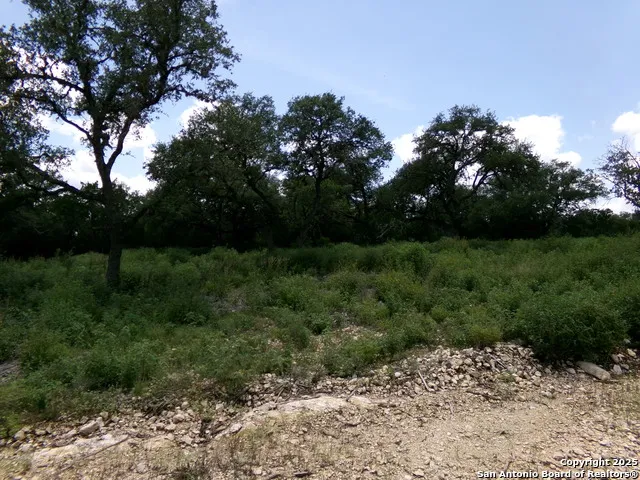 1881 Grand Oaks Hondo, TX 78861