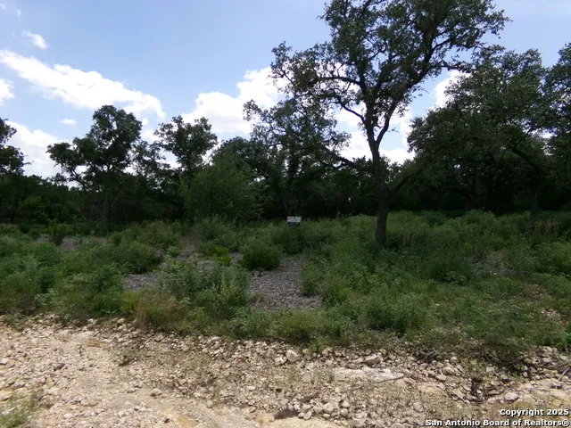 1881 Grand Oaks Hondo, TX 78861
