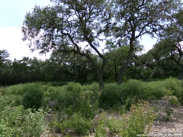 1881 Grand Oaks Hondo, TX 78861