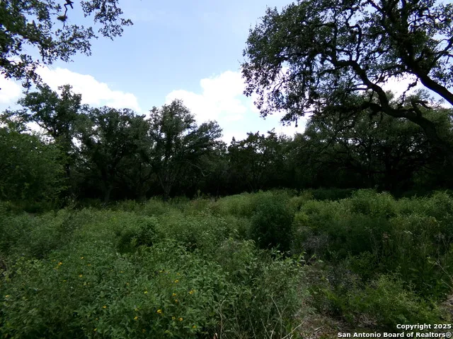 1881 Grand Oaks Hondo, TX 78861