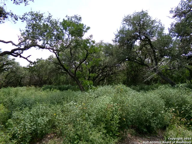 1881 Grand Oaks Hondo, TX 78861
