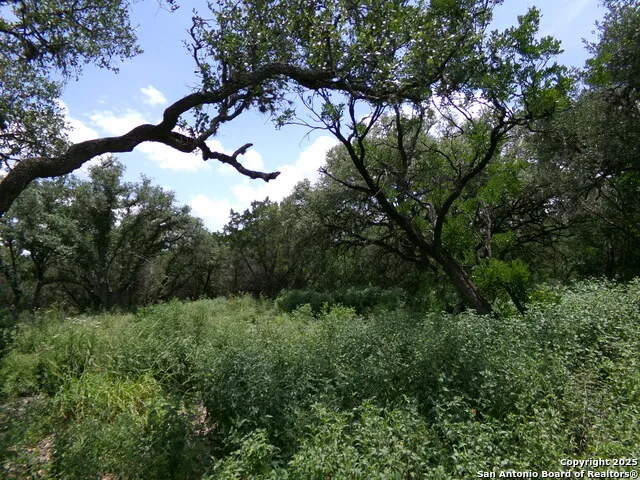 1881 Grand Oaks Hondo, TX 78861