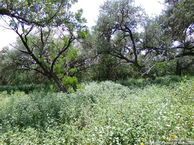 1881 Grand Oaks Hondo, TX 78861