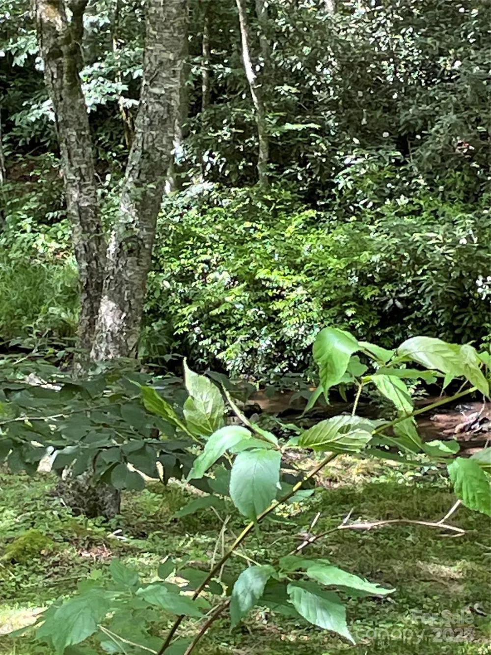 686 Mashstomp Road Maggie Valley, NC 28751