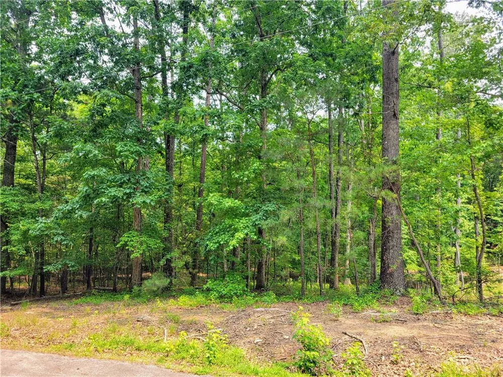 3234 Greenhill Drive Villa Rica, GA 30180
