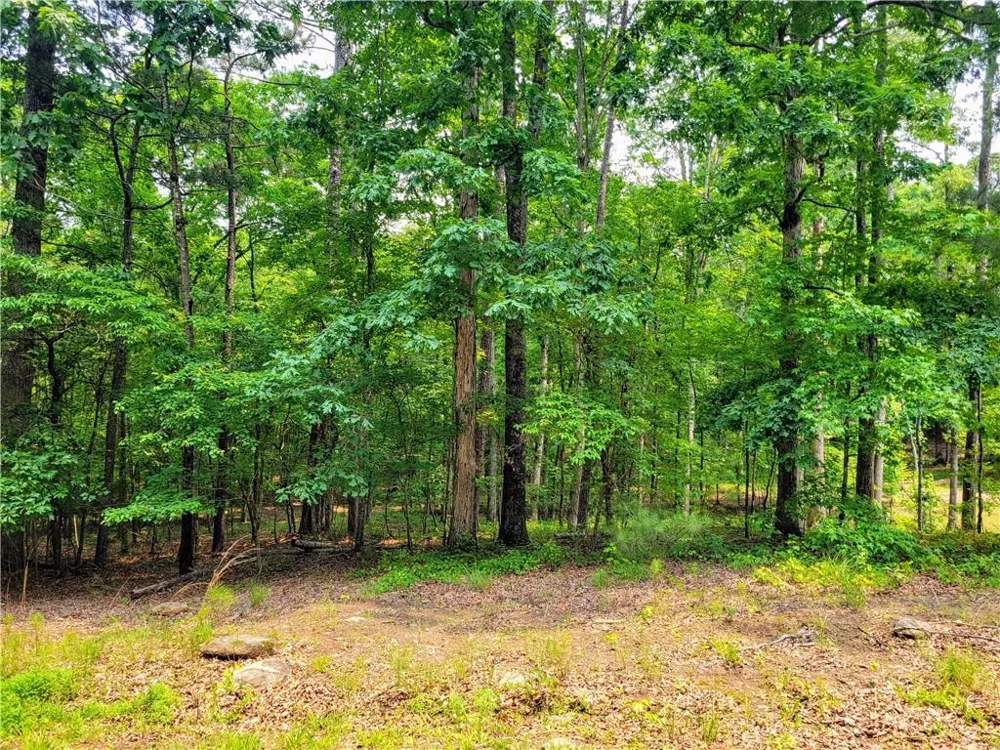 3234 Greenhill Drive Villa Rica, GA 30180