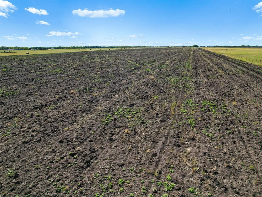 FM-697 Highway Whitewright, TX 75491