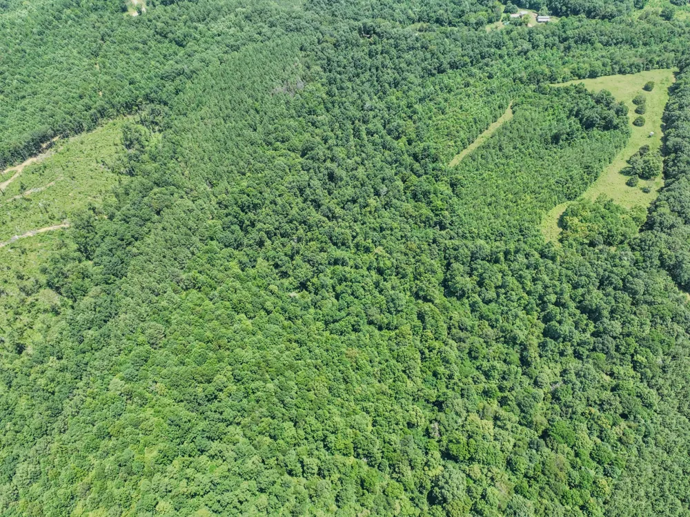 366 Ridge Rd Westpoint, TN 38486