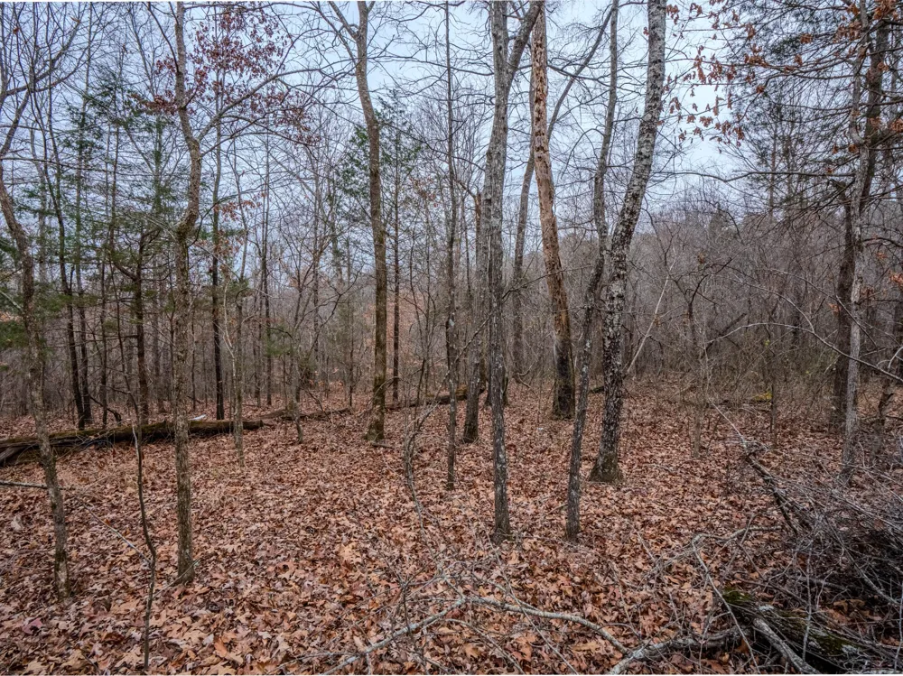 366 Ridge Rd Westpoint, TN 38486