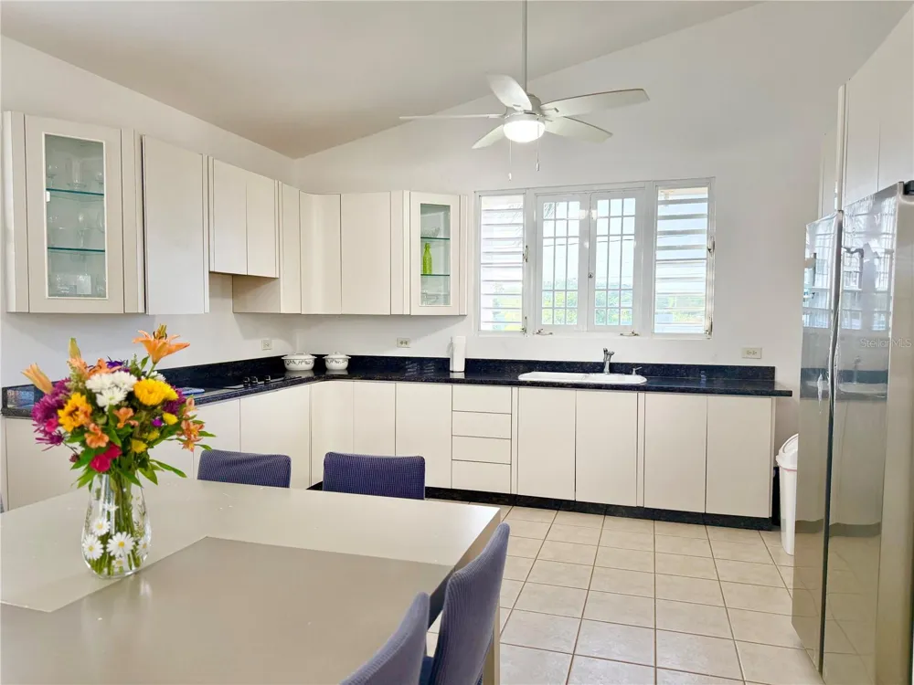 Urb. La Romana 216 CALLE FRANCHESCO Quebradillas, PR 00678