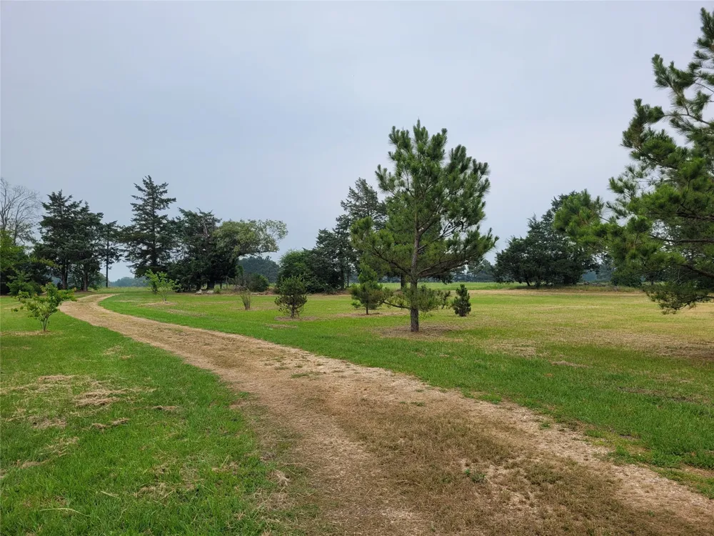 700 CR 45900 Detroit, TX 75436