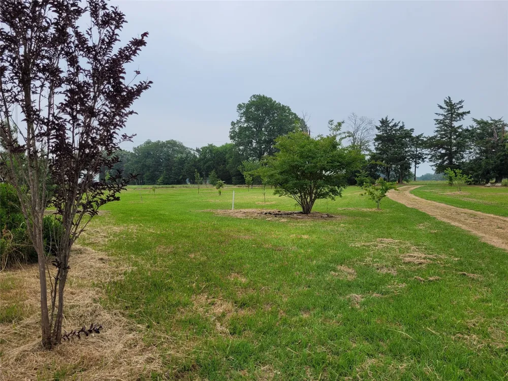 700 CR 45900 Detroit, TX 75436