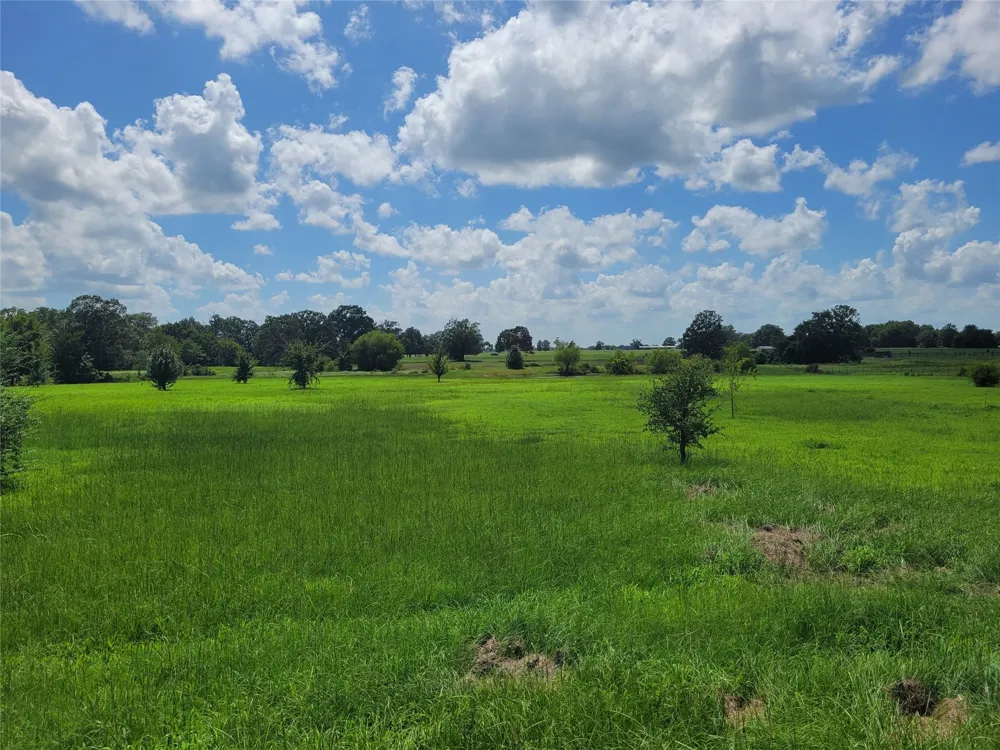 700 CR 45900 Detroit, TX 75436