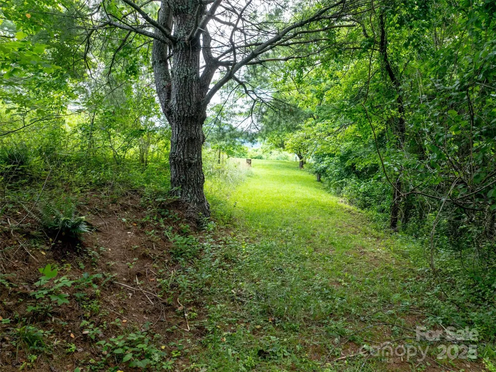 40 Sedgefield Place Clyde, NC 28721