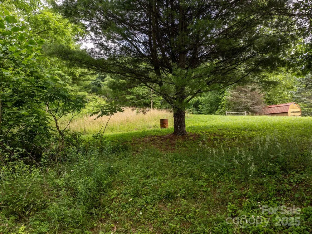 40 Sedgefield Place Clyde, NC 28721