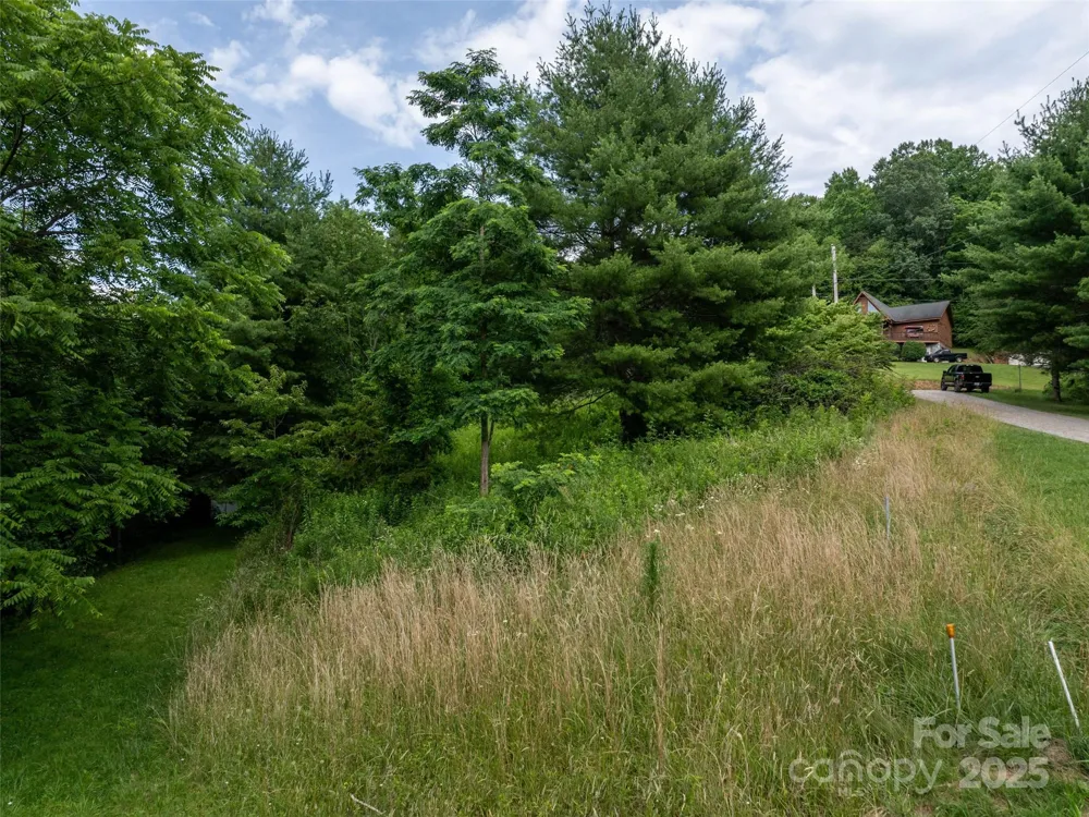 40 Sedgefield Place Clyde, NC 28721