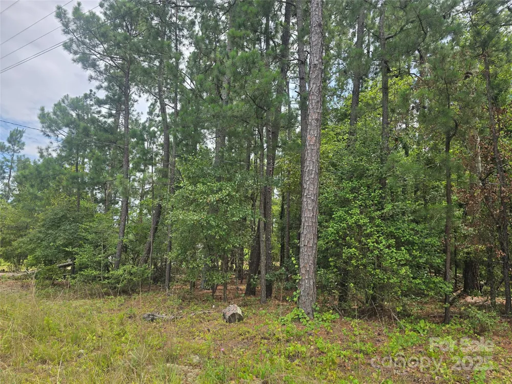 00 Johnny Williams Road #5 Kershaw, SC 29067
