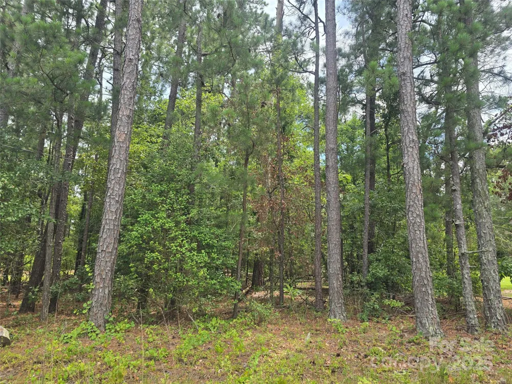 00 Johnny Williams Road #5 Kershaw, SC 29067