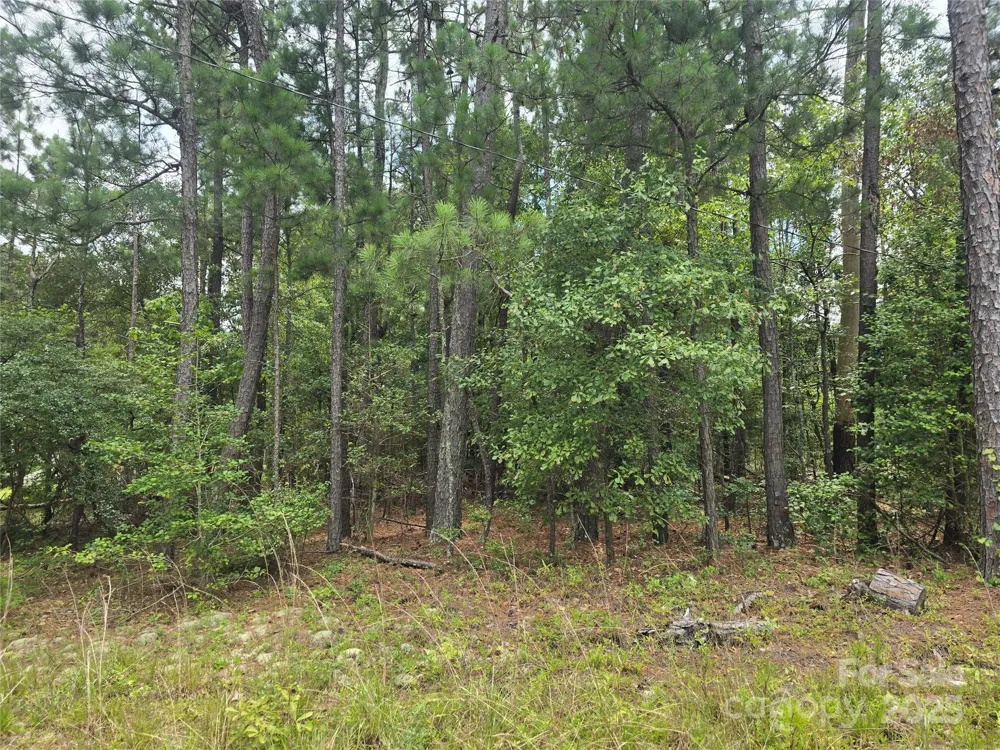 00 Johnny Williams Road #5 Kershaw, SC 29067
