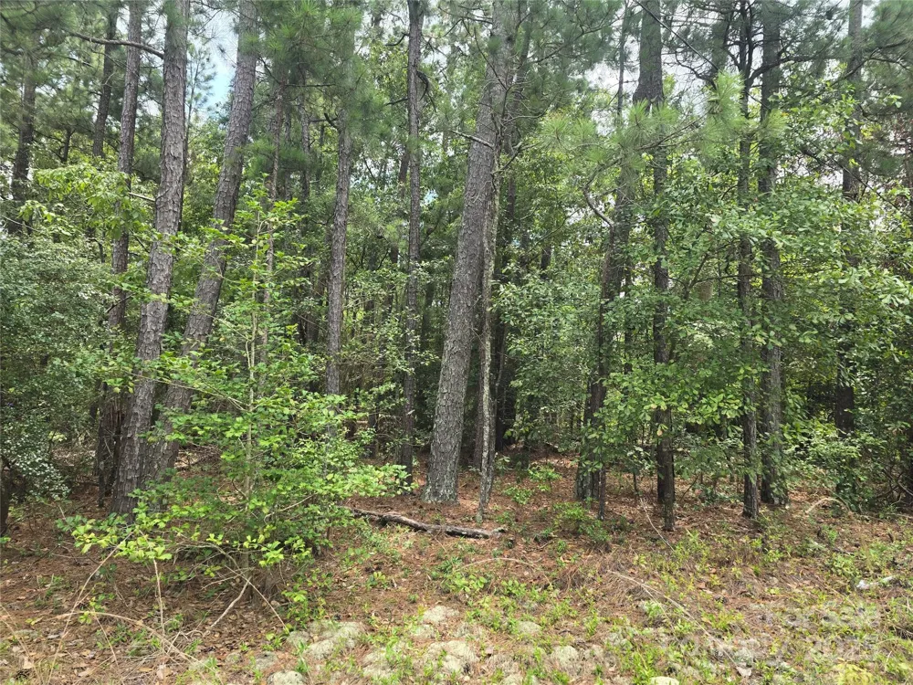 00 Johnny Williams Road #5 Kershaw, SC 29067
