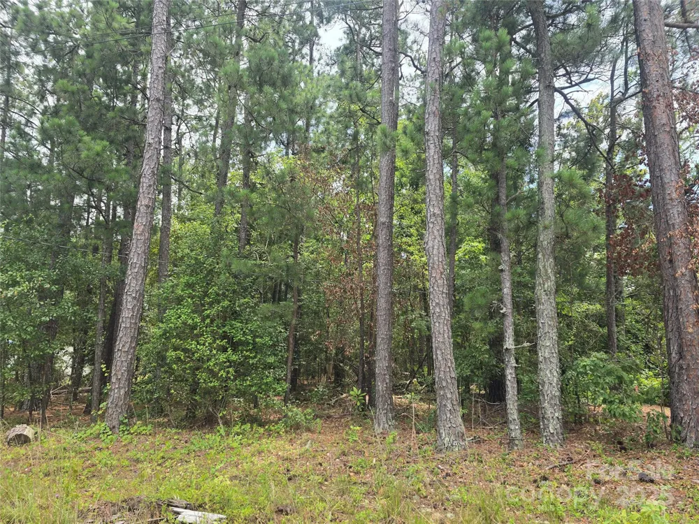 00 Johnny Williams Road #5 Kershaw, SC 29067