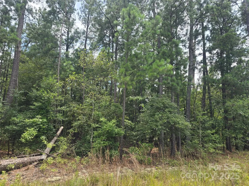 00 Johnny Williams Road #5 Kershaw, SC 29067
