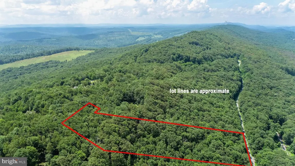 BACKBONE RIDGE ROAD Oakland, MD 21550