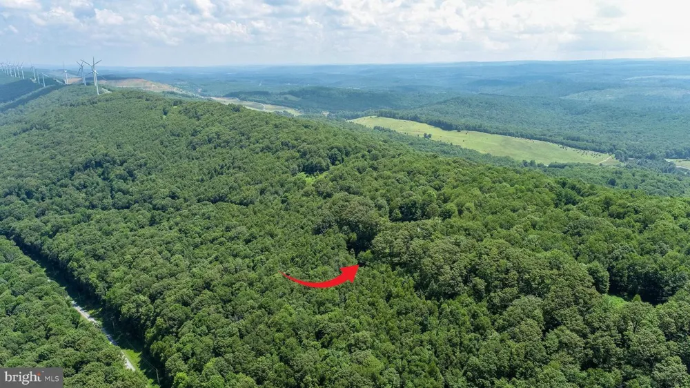 BACKBONE RIDGE ROAD Oakland, MD 21550