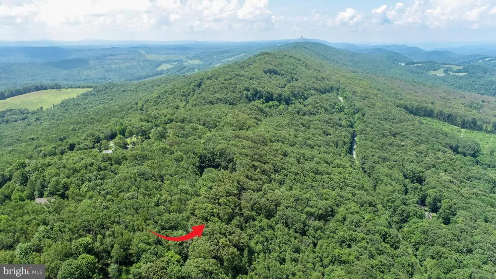 BACKBONE RIDGE ROAD Oakland, MD 21550